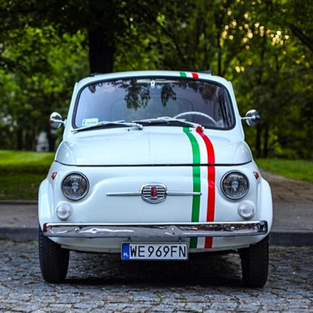 These 9 Tiny Terrors Are Small, Cute, and Quick