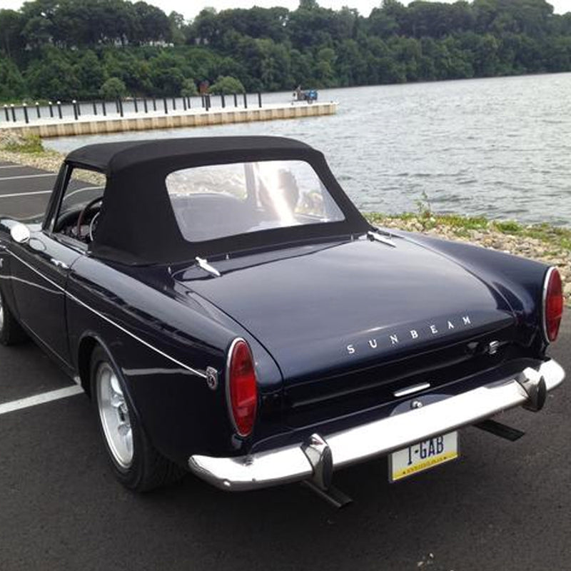 This Automotive Feline Is Not Kitten Around