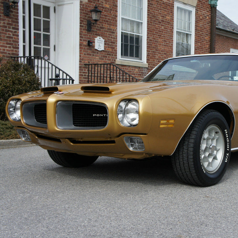 Buy A Very Restrained 'Bird