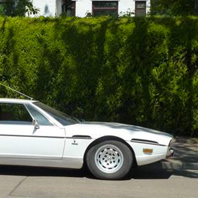 This Lambo is in Great Shape - No Bull