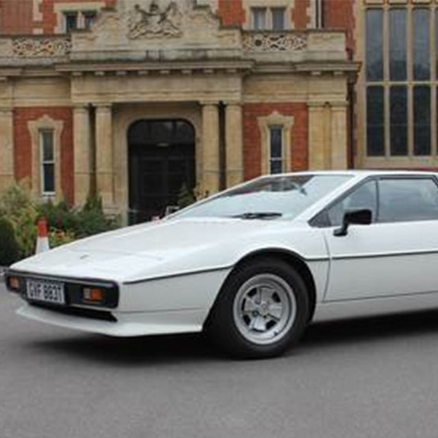 This Lotus is Pure Geometric Joy