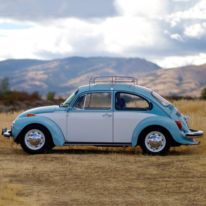 This Volkswagen Super Beetle Has Been In The Family Since New