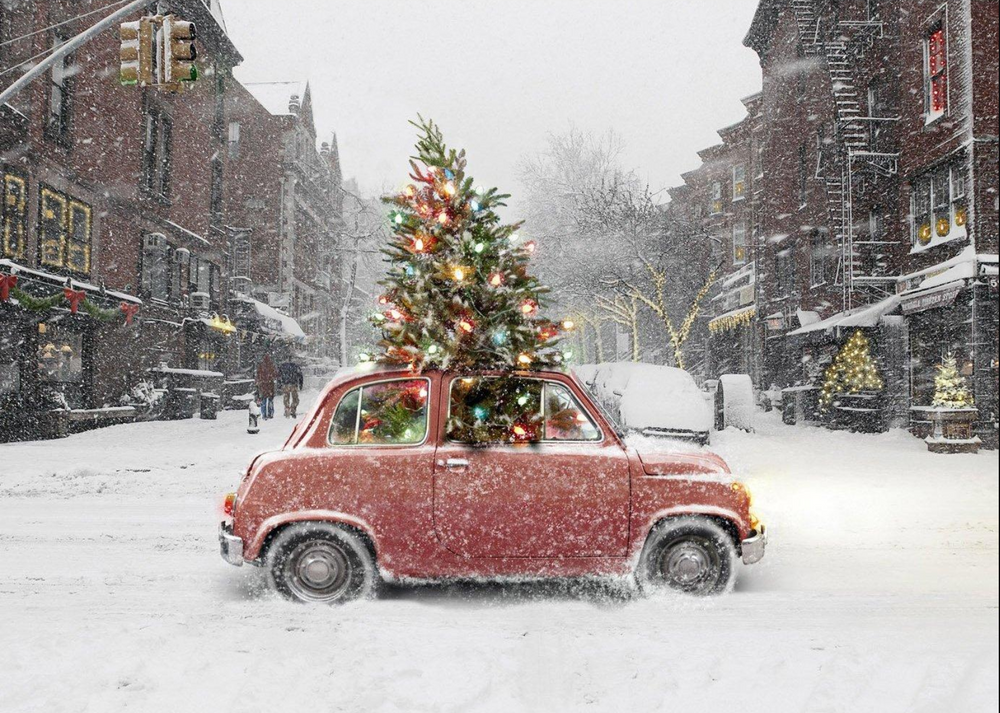 Canoes To Christmas Trees: What Have You Hauled With A Classic Car?
