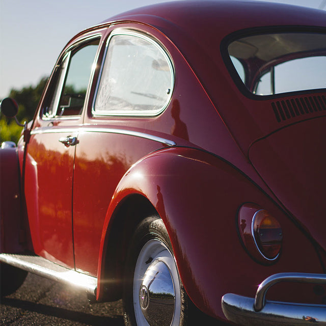 Want to Love a Beetle? Restore it.