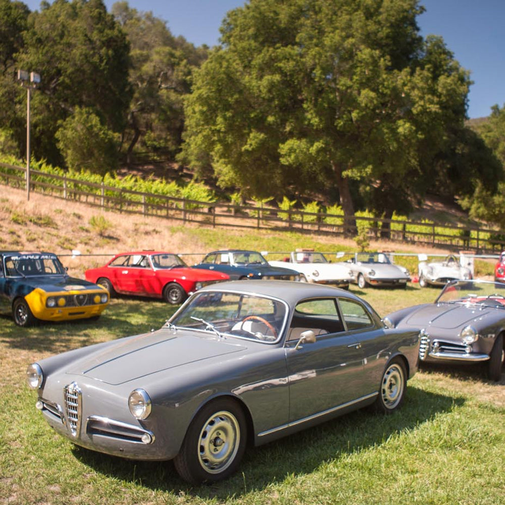 We Drove Tastefully in Malibu