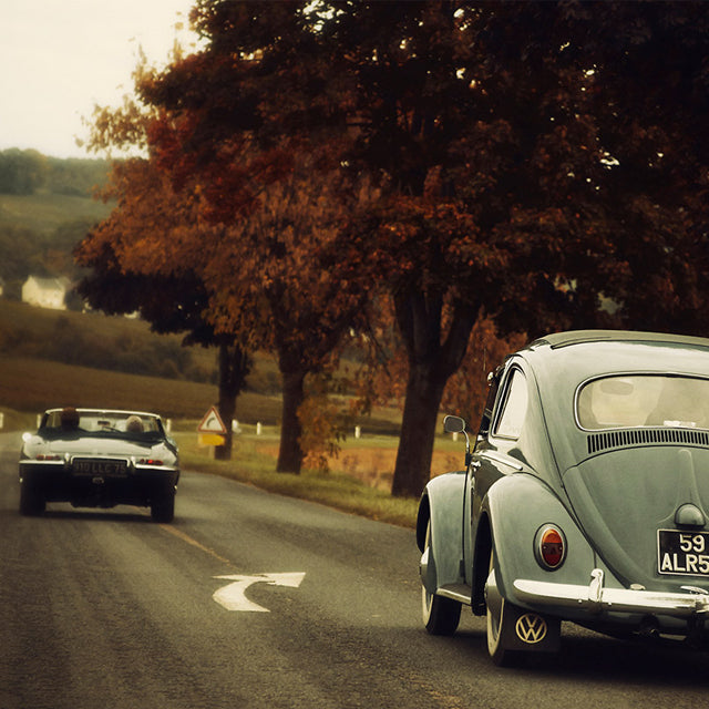 What Spring Road Trip Most Excites You?