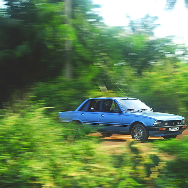 Where Forty-Year Old Peugeots Are Still Hot Stuff