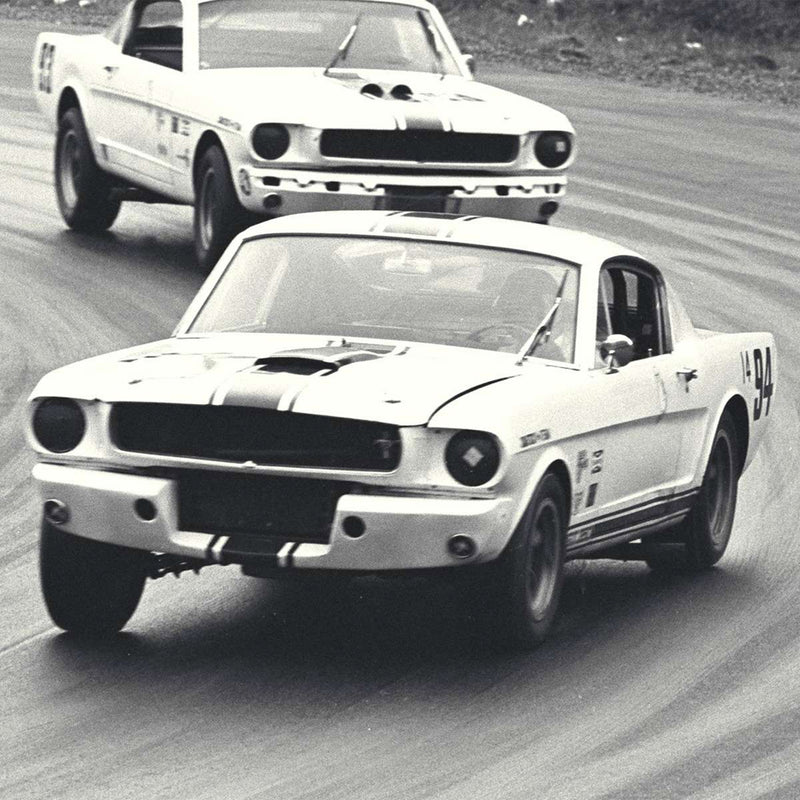 Track, Drag Strip, and Canyons: Which Muscle Cars?