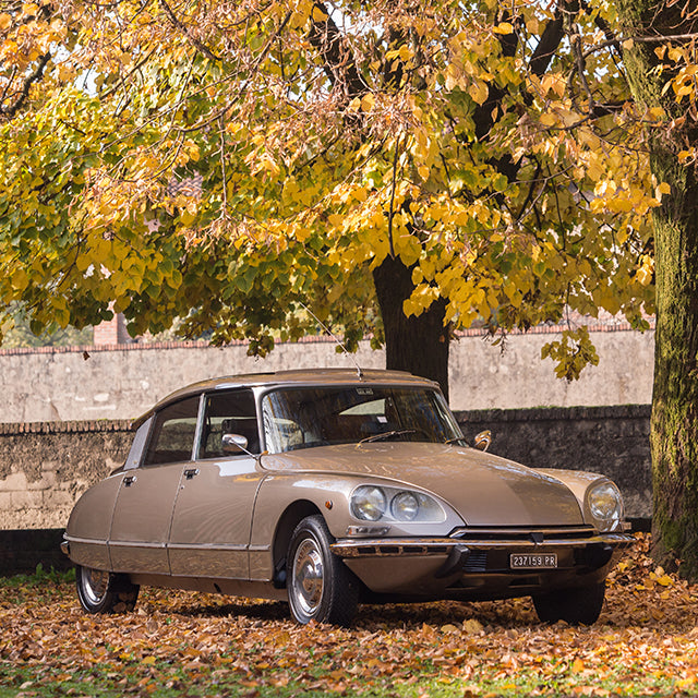 Which Of These 5 Classic Citroëns Would You Take Home?