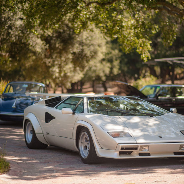 Why You Should Attend Our Upcoming Rally