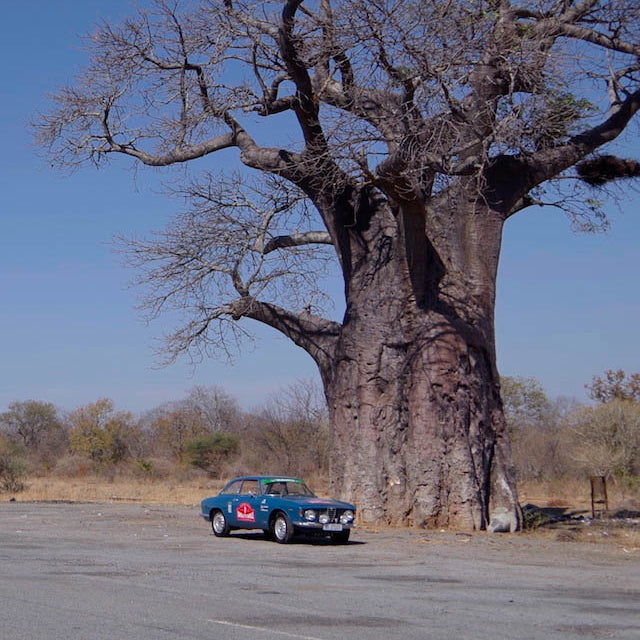 Zimbabwe Was No Match For This Alfa Romeo Sprint GT
