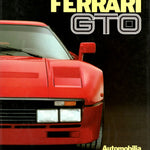 Ferrari GTO (P Murani - S Pasini - L Orsini)