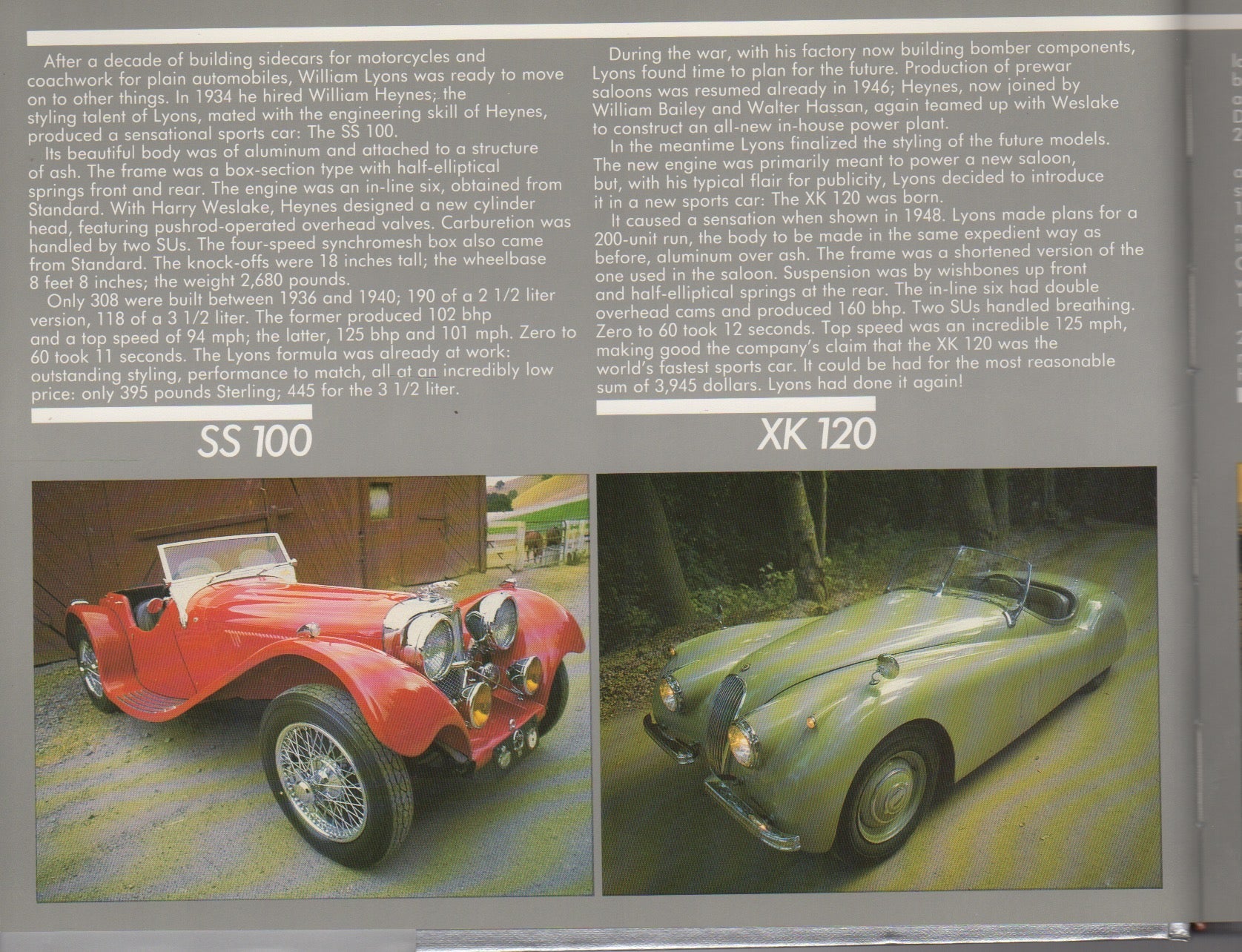 Jaguars for the Road - The Survivors Series (H Rasmussen)