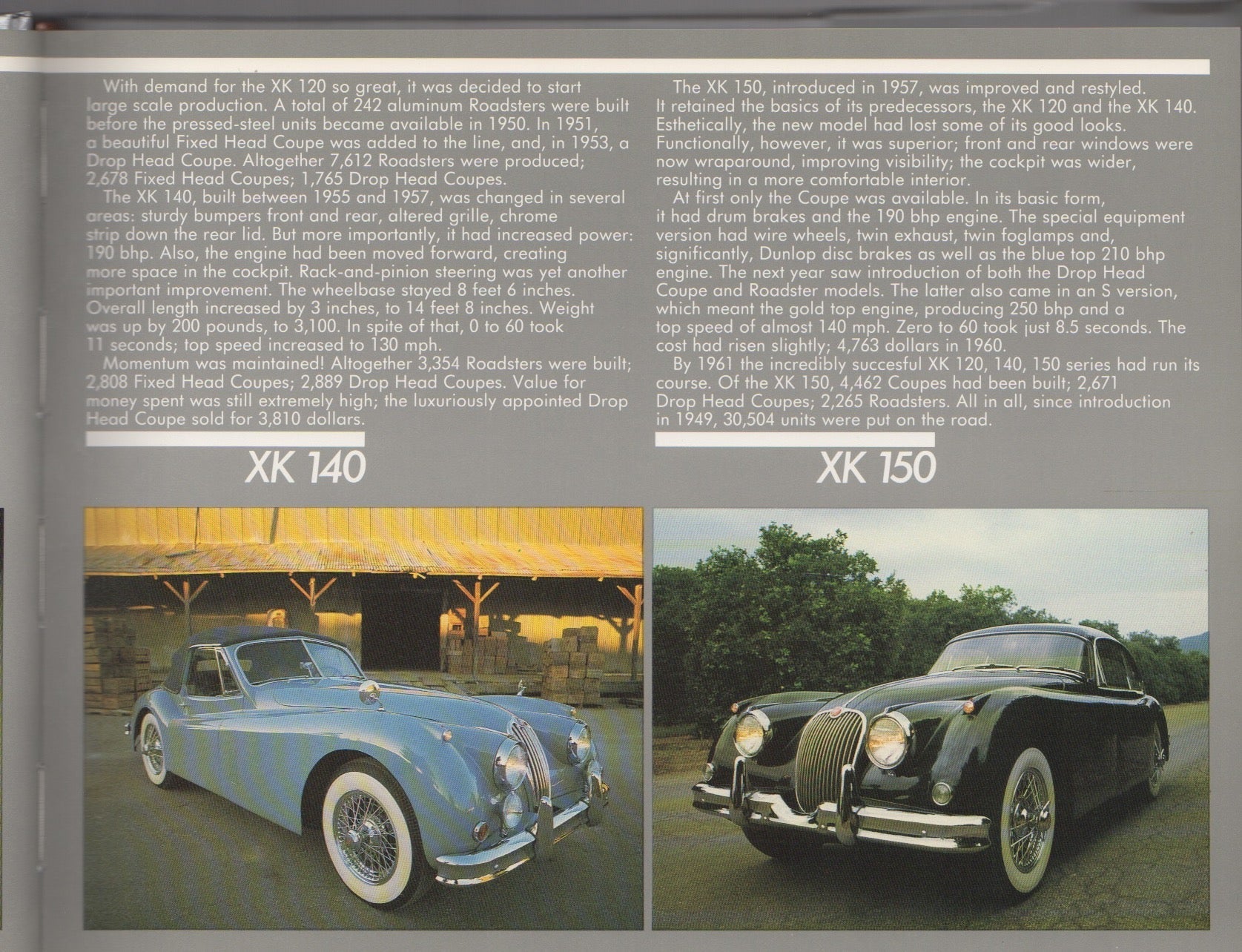 Jaguars for the Road - The Survivors Series (H Rasmussen)