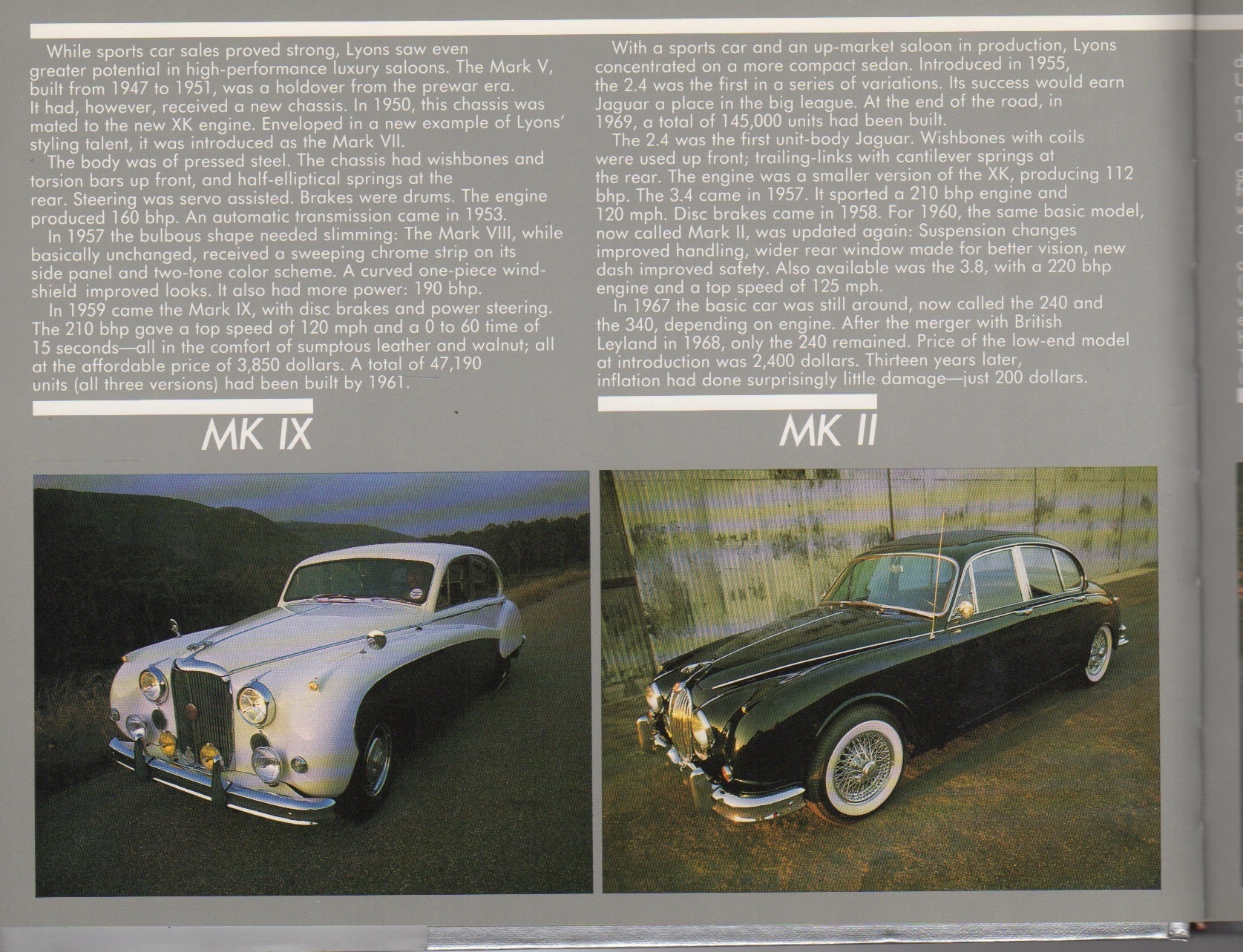 Jaguars for the Road - The Survivors Series (H Rasmussen)