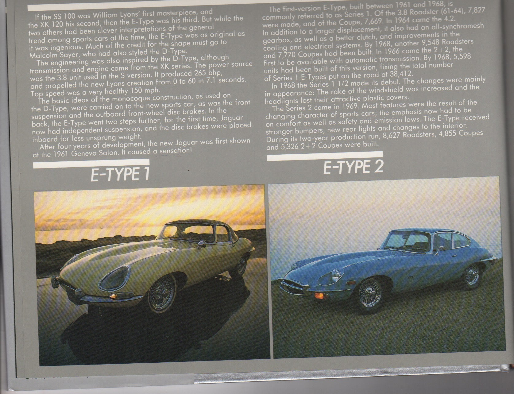 Jaguars for the Road - The Survivors Series (H Rasmussen)