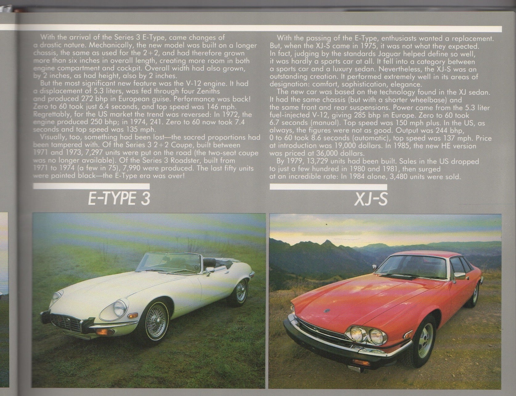 Jaguars for the Road - The Survivors Series (H Rasmussen)