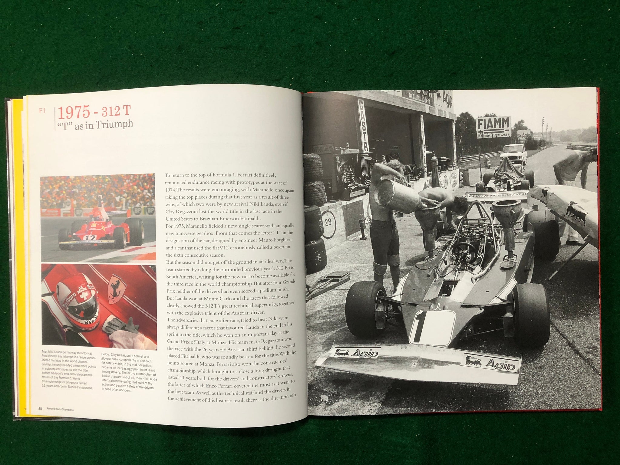 Ferrari's World Champions (E Mapelli)