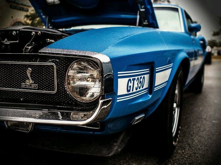 Shelby Mustang GT350 blue Instagram photo