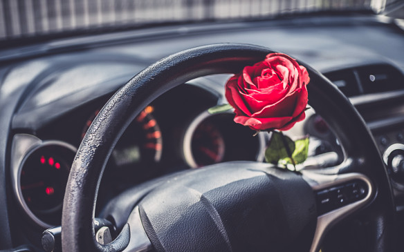 rose flower stuffed into steering wheel of a car