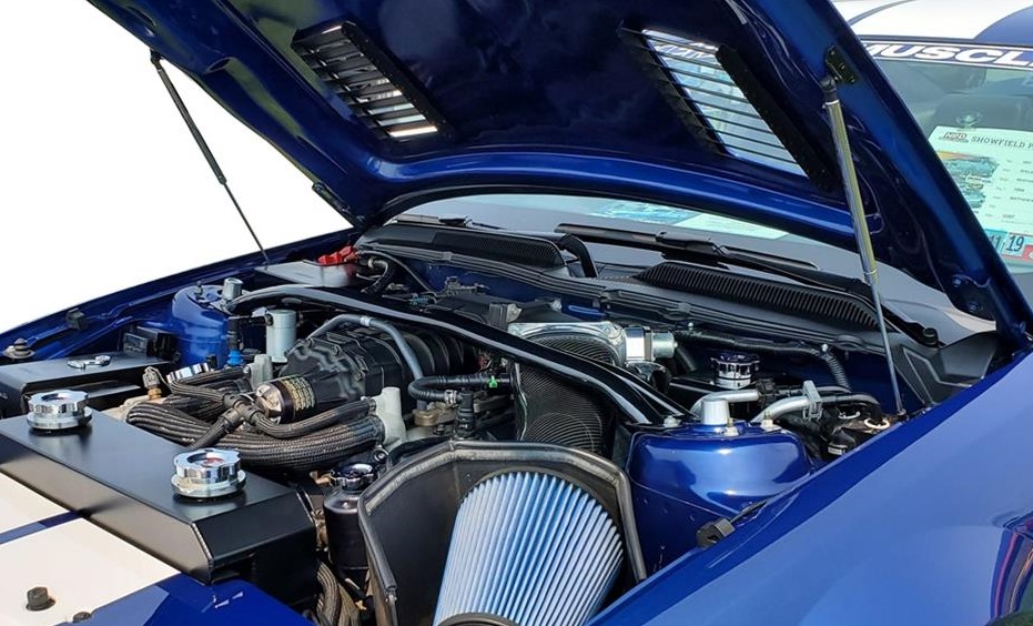 redline tuning lift supports on a mustang Shelby cobra super snake