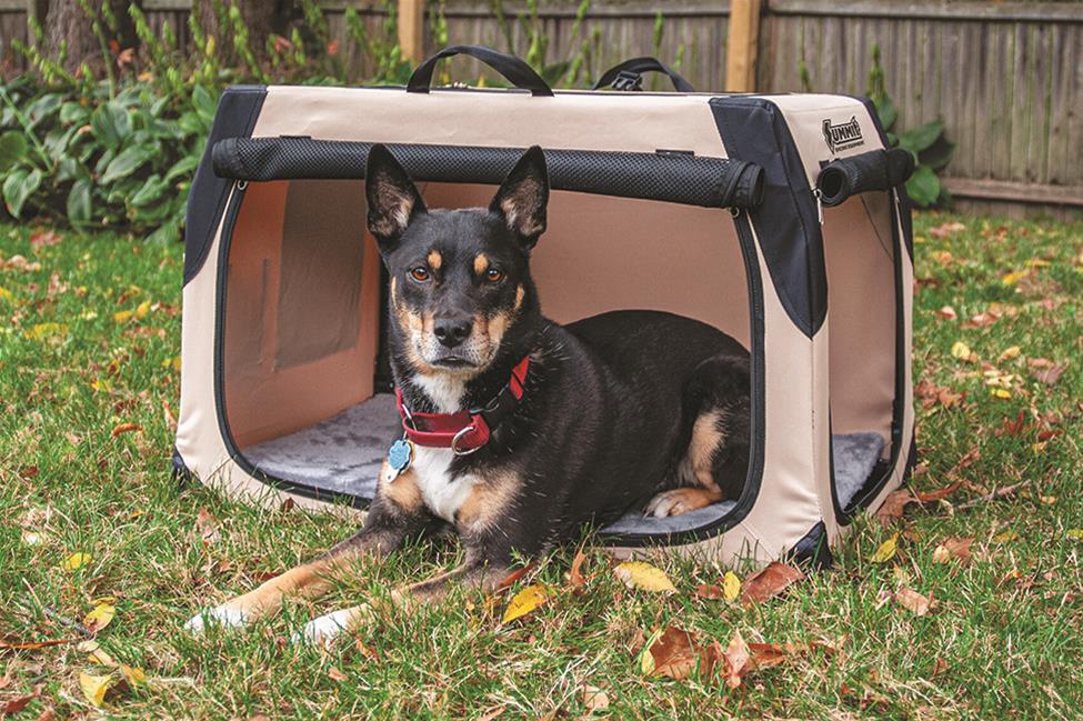 Dog in a folding travel crate on a lawn