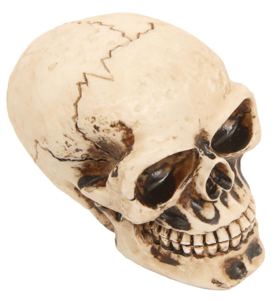 Gennie Shifter Skull Shift Knob