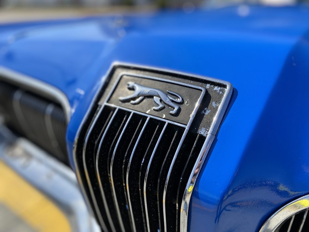 front center cougar logo on hood grille