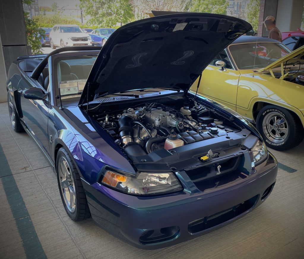 ford mustang cobra terminator in chameleon paint